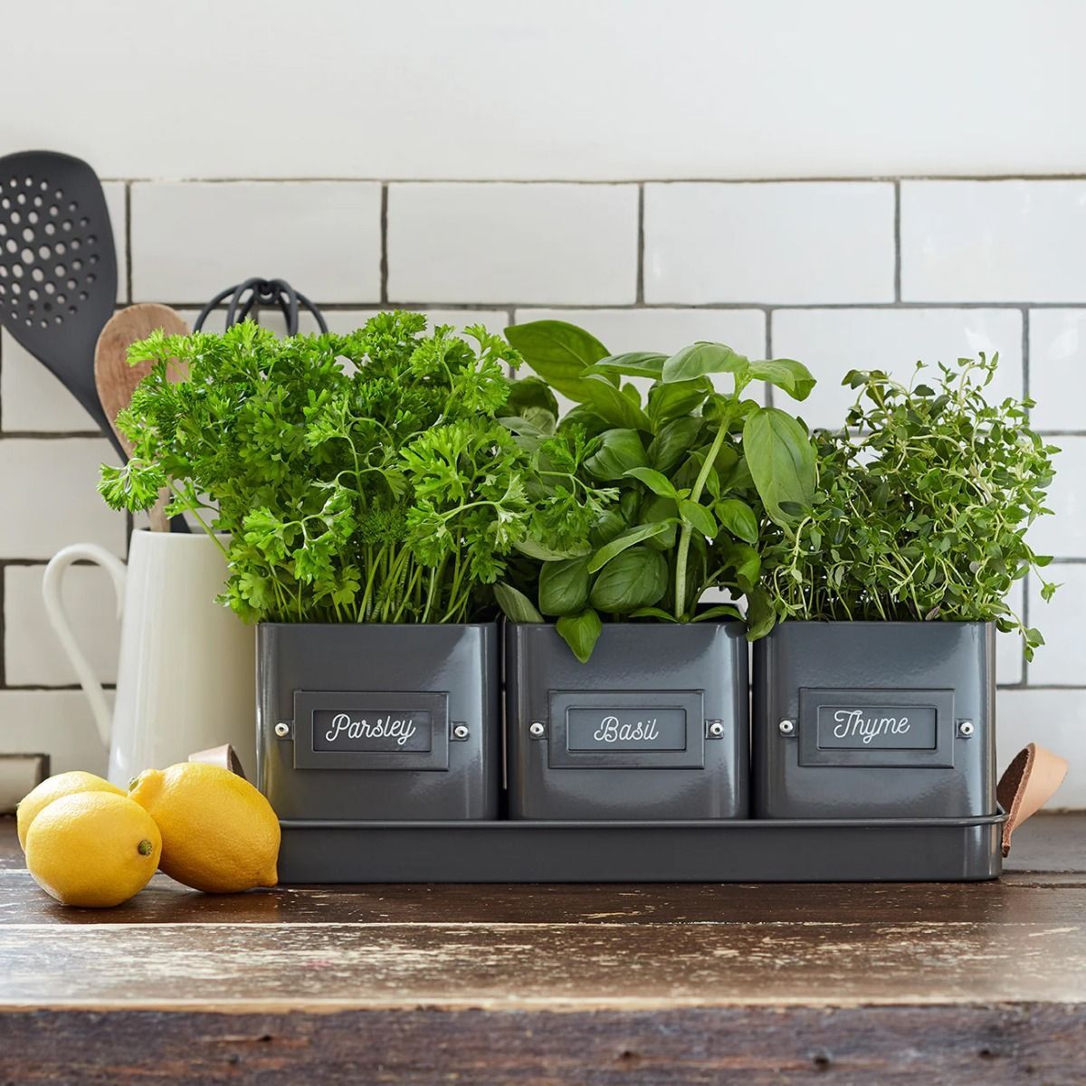 Grey 3 Herb Pots In A Leather Handled Tray - Charcoal Burgon & Ball